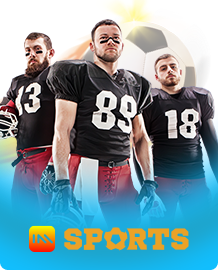 5 estrelas sports apostas online